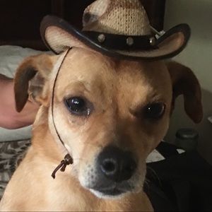 Meet your Posher, Ismael